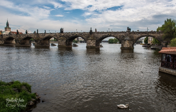En av de store turistattraksjoner er Karlsbroen. Her er det tjukt med folk og mye god underholdning. Vel verd et besøk! Dette er den første faste broen over Vitava (Moldau), påbegynt i 1357 på ordre fra Karl IV. 